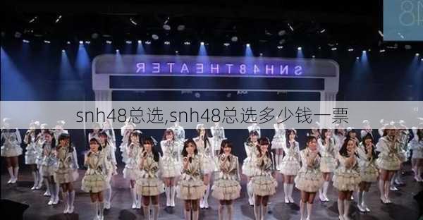 snh48总选,snh48总选多少钱一票